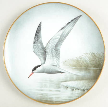 Wild Birds of the World Common Tern - No Box