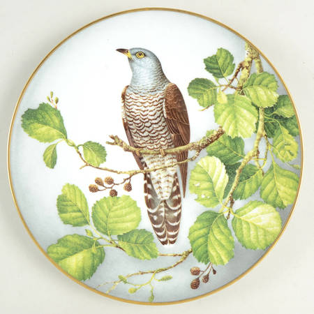 Wild Birds of the World Cuckoo - No Box