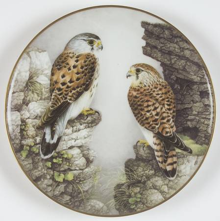 Wild Birds of the World Old World Kestrel  - No Box