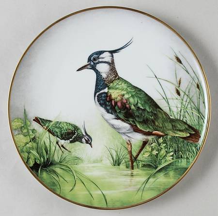 Wild Birds of the World Lapwing - No Box