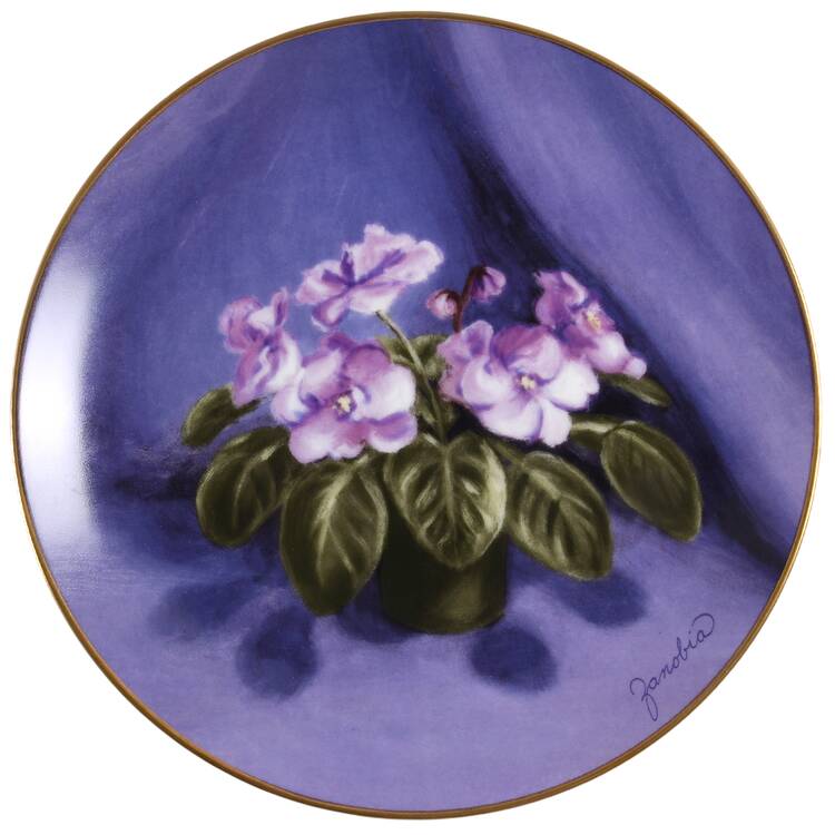 African Violet Half Pint - No Box
