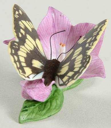 Butterflies of The World  Marbled White-Bellflower - Boxed