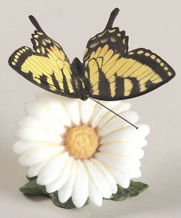 Butterflies of The World  Tiger Swallowtail-Daisy - Boxed