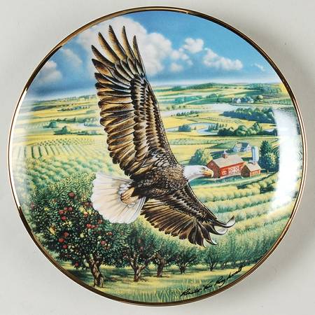 Ronald Van Ruyckevelt Eagle Above The Fruited Plains - No Box
