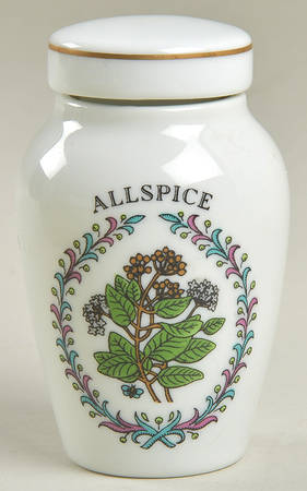 Gloria Vanderbilt Spice Jars Allspice - Spice Jar Set-Ind Jar-Motif 3