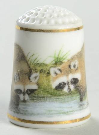 Baby Animals of The World North American Raccoon - No Box