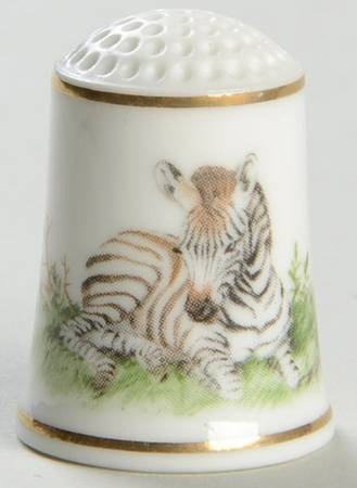 Baby Animals of The World Zebra - No Box