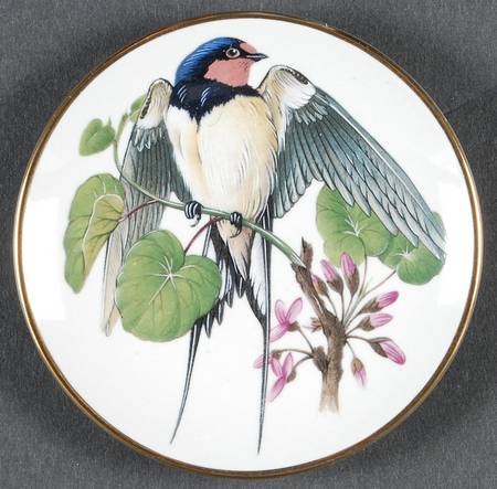 Songbirds of The World Barn Swallow - Boxed
