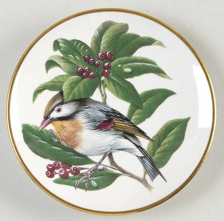 Songbirds of The World Pekin Robin - Boxed
