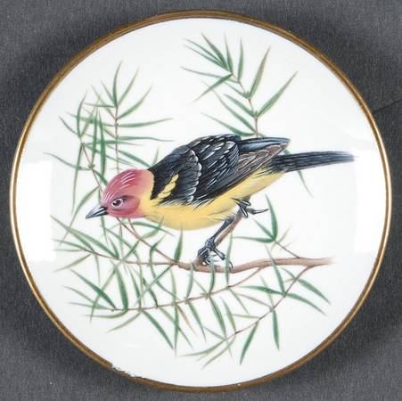 Songbirds of The World Western Tanager - Boxed