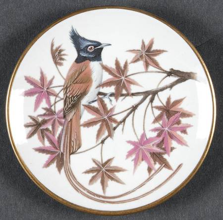 Songbirds of The World Asian Paradise Flycatcher - Boxed