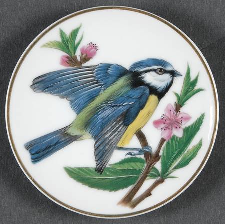 Songbirds of The World Blue Tit - Boxed