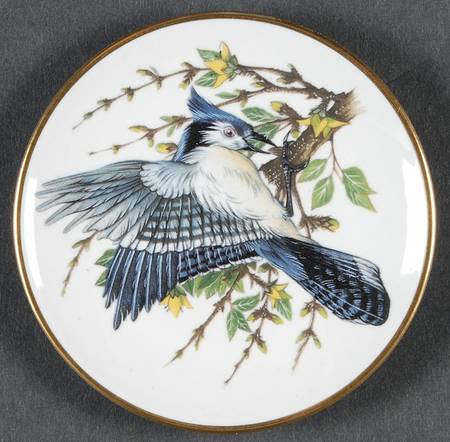 Songbirds of The World Blue Jay - Boxed