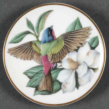 Songbirds of The World Painted Bunting - Boxed