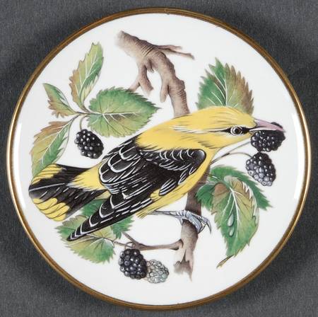 Songbirds of The World Golden Oriole - With Box