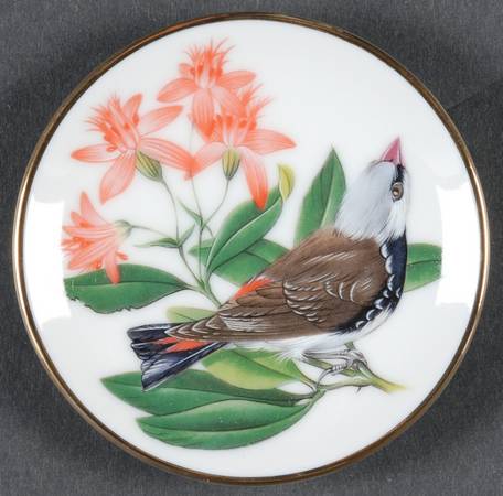 Songbirds of The World Diamond Firetail Finch - Boxed