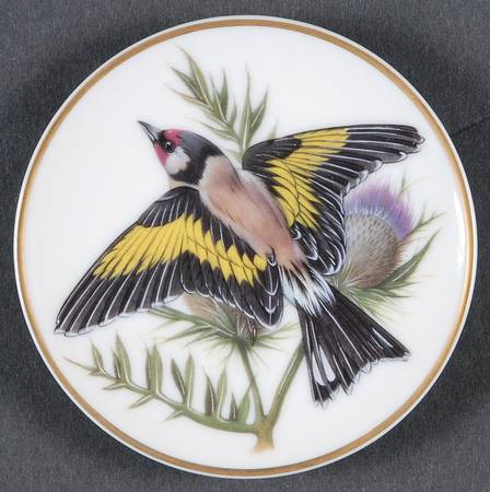Songbirds of The World European Goldfinch - Boxed