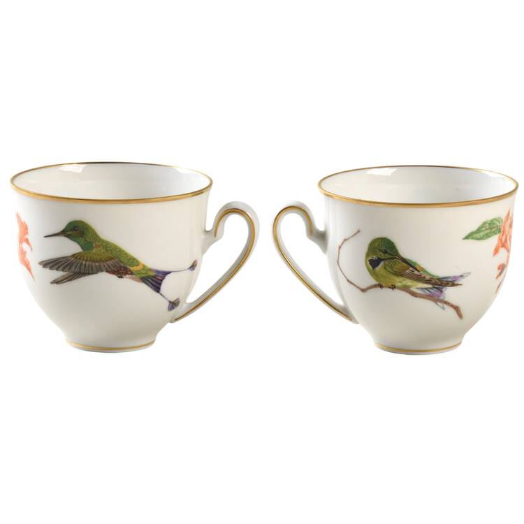 Hummingbirds of The World Sapphire-Throated- Cup Only - No Box