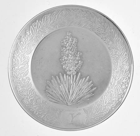 Flowers of The Alphabet Y - No Box