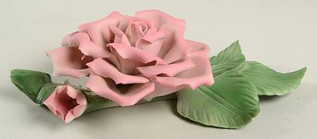 The Twelve Months of Roses Painters Rose - No Box