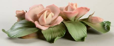The Twelve Months of Roses Cecile Brunner - No Box
