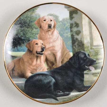 Labradors-Nigel Hemming Canine Companions - No Box