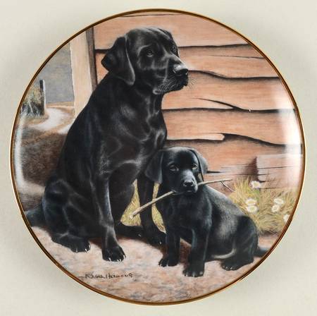 Labradors-Nigel Hemming Like Father, Like Son - No Box