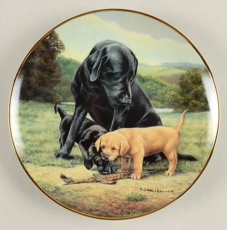 Labradors-Nigel Hemming Spring Training - No Box