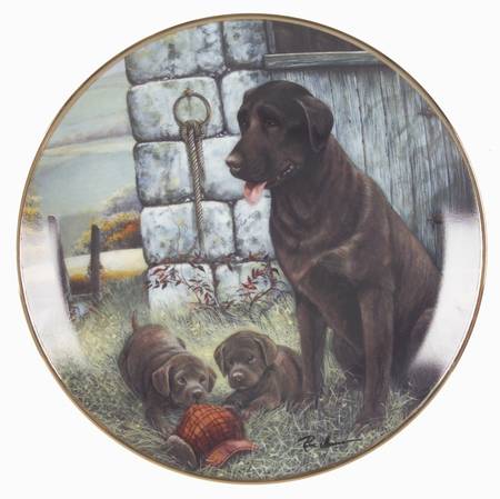 Labradors-Ruane Manning Lost And Found - No Box