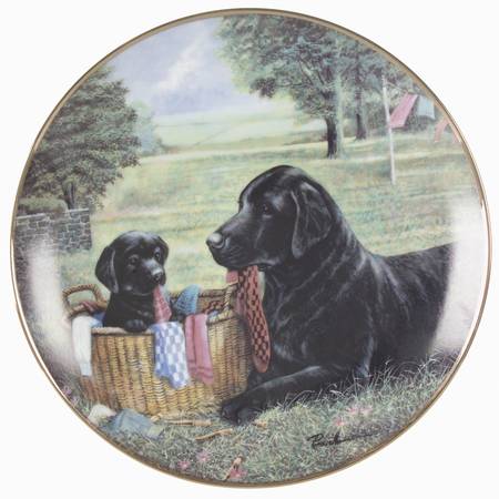Labradors-Ruane Manning A Matching Pair - No Box