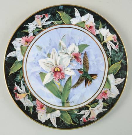 Hummingbirds-Politowicz White Bellied Woodstars Hummin - No Box