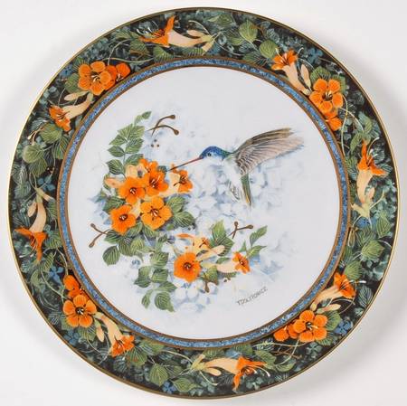 Hummingbirds-Politowicz The Violet-Crowned Hummingbird - No Box