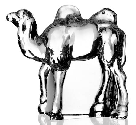 Animals of the Ark Camel-Male (Head Up) - No Box