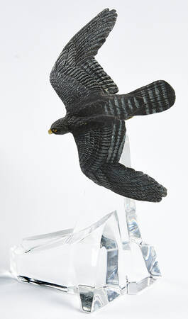 Alaskan Frontier Collection Golden Eagle - No Box