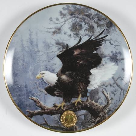 Alaska Chilkat Bald Eagle Preserve Poised For Glory - No Box