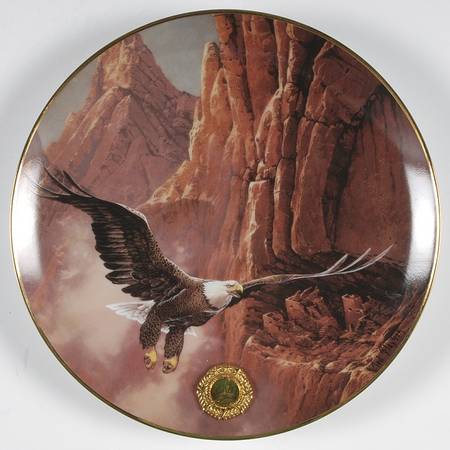Alaska Chilkat Bald Eagle Preserve Soaring Spirit - No Box
