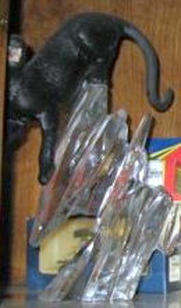 Cats of the World Black Panther - With Box