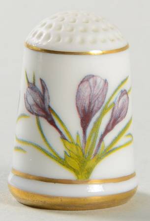 Flowers of Holland Crocus - No Box
