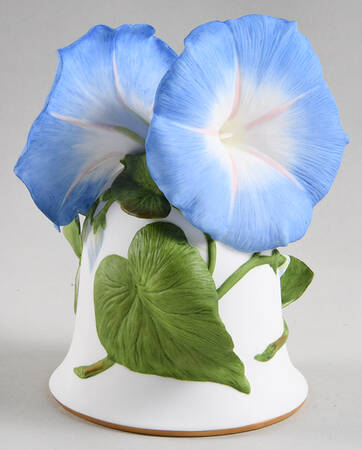 Flower Bells Heavenly Blue Morning Glory - Boxed