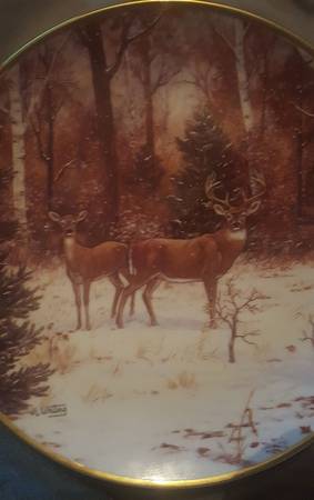 Majestic Beauty In The Winter Woods - No Box