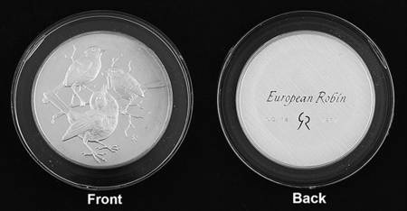 Roberts Birds European Robin - No Box
