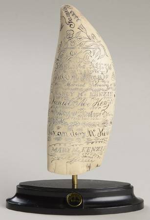 Scrimshaw McKenzie Family Tree - No Box