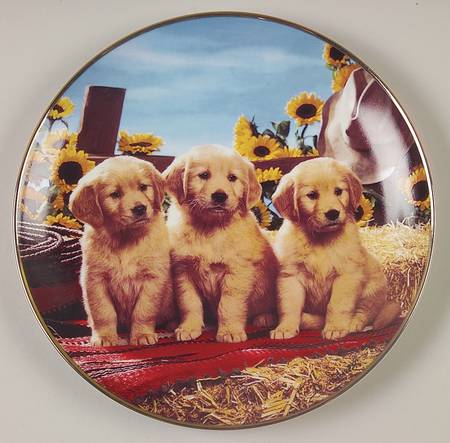 Golden Retrievers by Franklin Mint