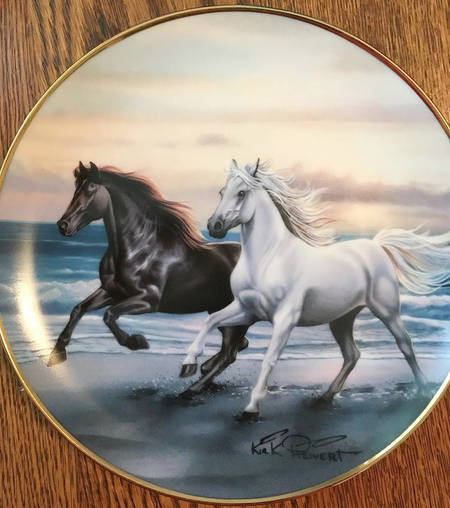 British Horse Society Thunder At Sunset - No Box