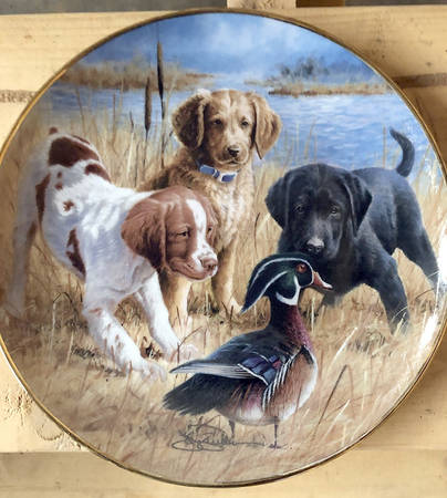 Sporting Dogs-James Killen Triple Trouble - No Box