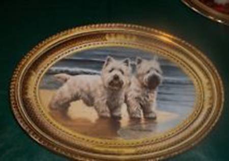 West Highland White Terrier Shore Pals - No Box
