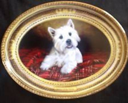 West Highland White Terrier Master Of The Tartan - No Box