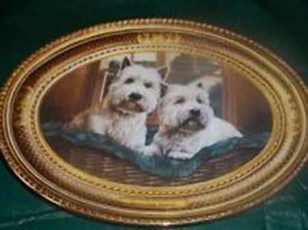 West Highland White Terrier Morning Mates - No Box