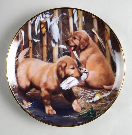 Golden Retriever Puppies-Robert Christie Field Trip - No Box