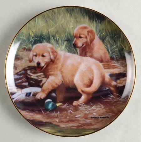 Golden Retriever Puppies-Robert Christie We Got'Em  - No Box